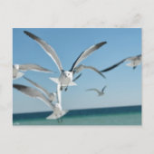 Seegras 3 postkarte (Vorderseite)