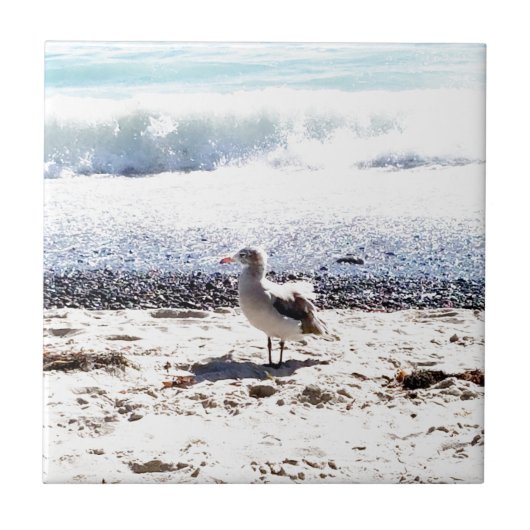 Seegras am Meer auf dem Bild vom Strand Fliese (Vorderseite)
