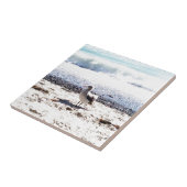 Seegras am Meer auf dem Bild vom Strand Fliese (Seite)