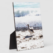 Seegras am Meer auf dem Bild vom Strand Fotoplatte (Seite)