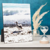 Seegras am Meer auf dem Bild vom Strand Fotoplatte (Seite)