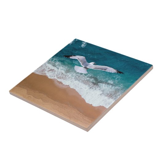 Seegras über dem Meeresufer Fliese (Seite)