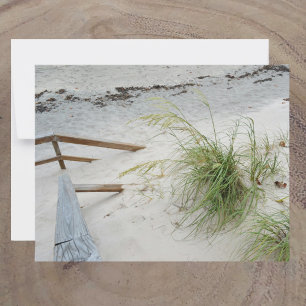 Seegras und weißer Sandstrand mit Dünen - Fotograf Mitteilungskarte