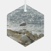 Seegrund Ornament Aus Glas (Vorderseite)