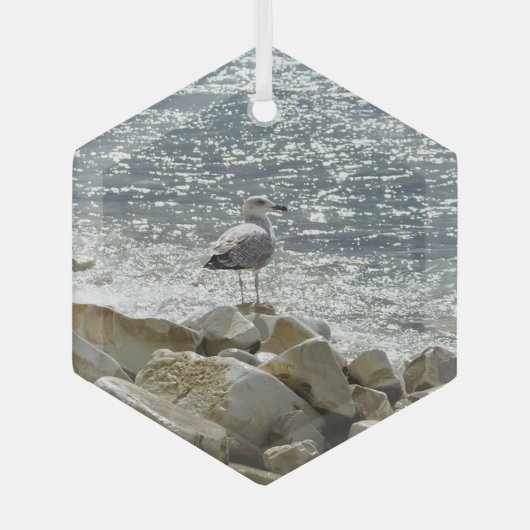 Seegrund Ornament Aus Glas (Vorderseite)