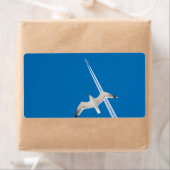 Seegrund und (Insitu)