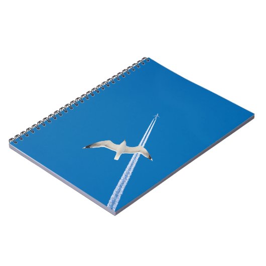 Seegrund und notizblock (Linke Seite)