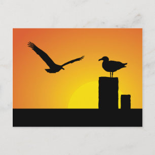 Seegügel bei Sonnenuntergang Postkarte