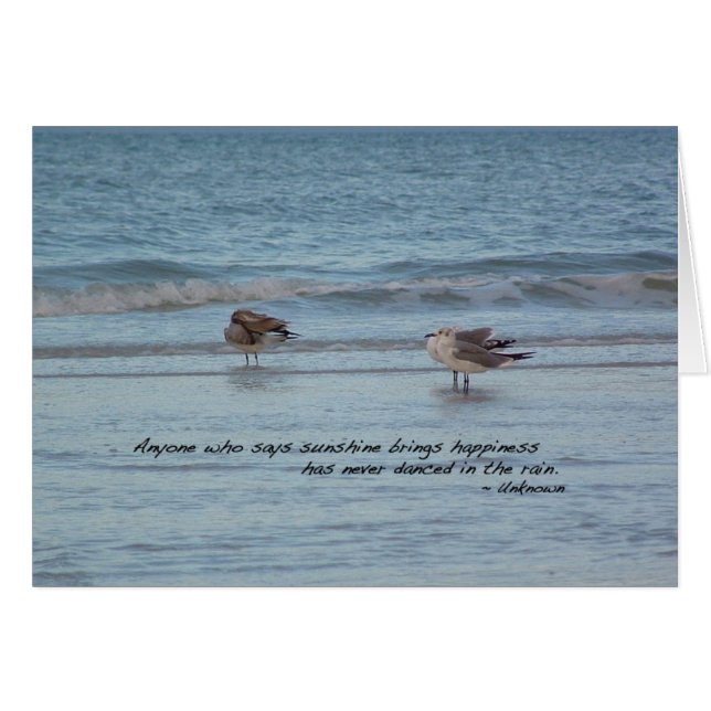 Seegügel in Neapel, Florida (Vorderseite (Horizontal))