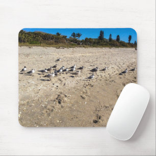 Seegügel nehmen die Beach Mousepad