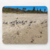 Seegügel nehmen die Beach Mousepad (Vorne)