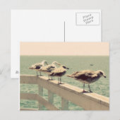 Seegügel Postkarte (Vorne/Hinten)