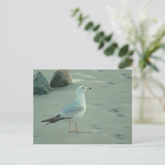 Seegull / Postkarte (Stehend Vorderseite)
