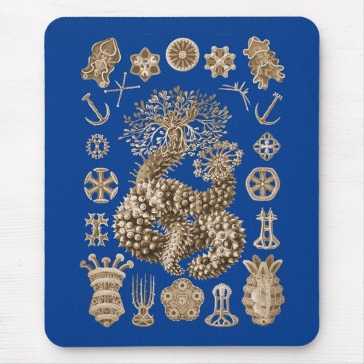 Seegurken Mousepad (Vorne)