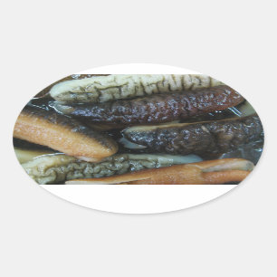 Seegurken… Yaowarat Markt-Nahrung Ovaler Aufkleber