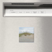 Seehaare auf Sanddünenfeldern NC Magnet (In Situ (Geschirrspüler))