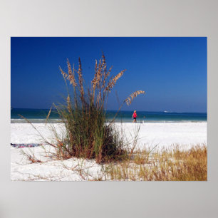 Seehafer, Strand, Poster