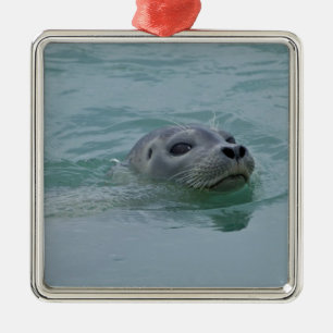 Seehund schwimmt im glazialen See Jokulsarlon Ornament Aus Metall
