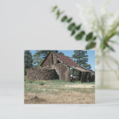 SeehundBarn Postkarte (Stehend Vorderseite)