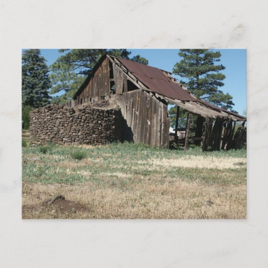 SeehundBarn Postkarte (Vorderseite)