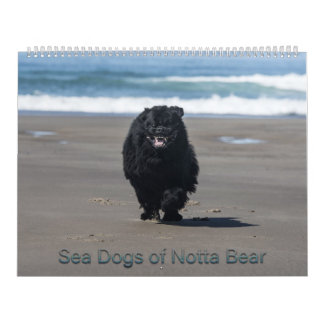 Seehunde von Notta Bear Kalender