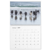 Seehunde von Notta Bear Kalender (Jan 2027)