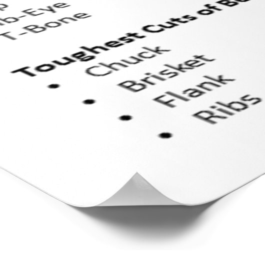 Seehundstückchen Poster (Ecke)