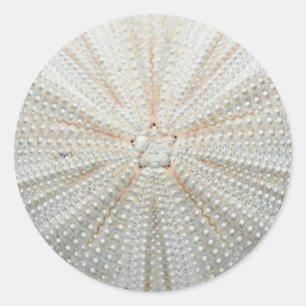 Seeigel-Aufkleber Runder Aufkleber