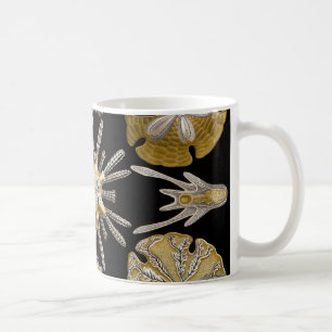 Seeigel Ernst Haeckels Echinidea Kaffeetasse