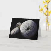 Seeigel-Gruß-Karte Karte (Gelbe Blume)