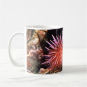 Seeigel Kaffeetasse (Links)
