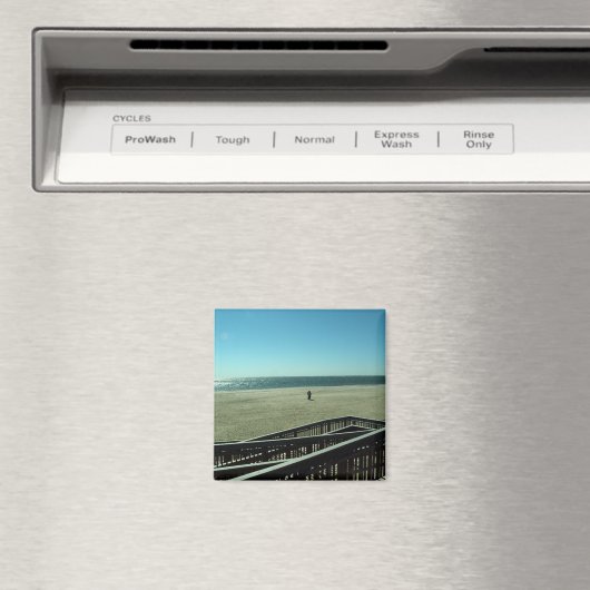 Seeigel Magnet (In Situ (Geschirrspüler))