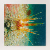 Seeigel Puzzle (Horizontal)