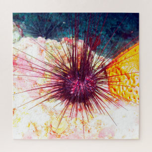 Seeigel Puzzle