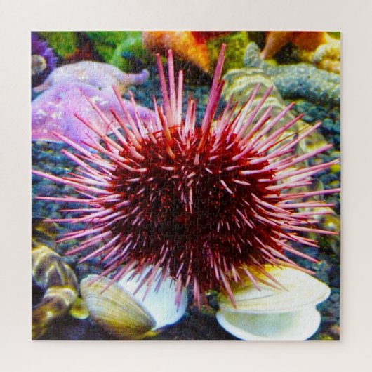 Seeigel Puzzle (Vertikal)