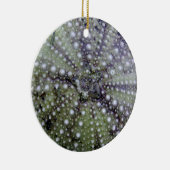 SeeigelSeashell Keramikornament (Rechts)