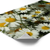 Seeing Daisy Poster (Ecke)