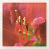 Seeing Red Glasuntersetzer (Vorderseite)