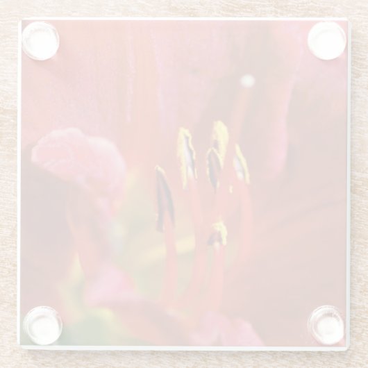 Seeing Red Glasuntersetzer (Rückseite)