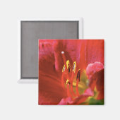 Seeing Red Magnet (Vorderseite/Rückseite)