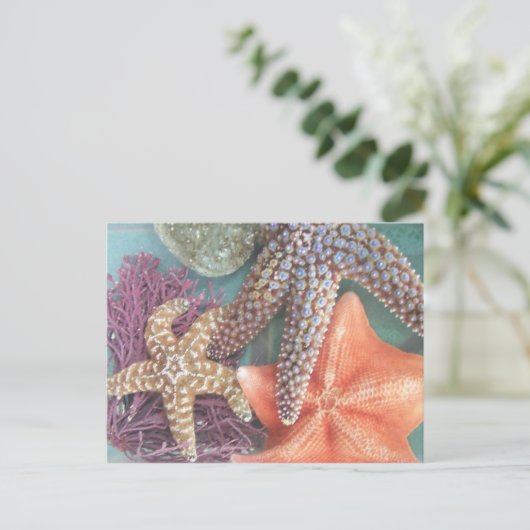 SEEING STARS POSTKARTE (Stehend Vorderseite)