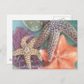 SEEING STARS POSTKARTE (Vorne/Hinten)