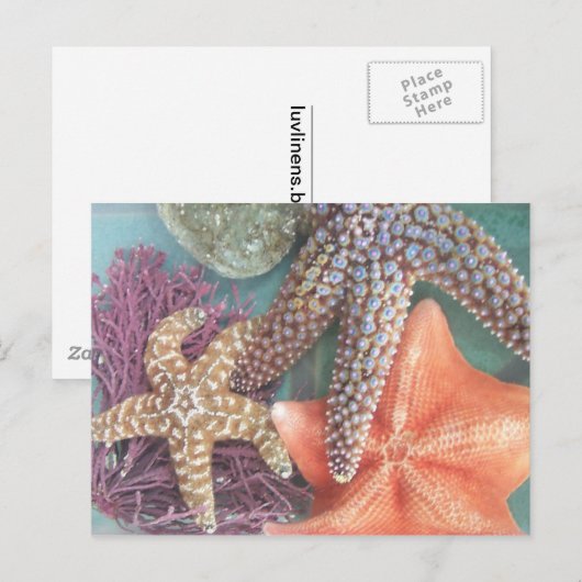 SEEING STARS POSTKARTE (Vorne/Hinten)