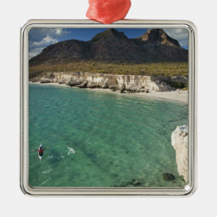 Seejakler im Golf von Kalifornien bei Isla Ornament Aus Metall