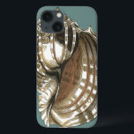 Seejuwel Case-Mate iPhone Hülle<br><div class="desc">Eines der schönsten Juwelen des Ozeans ist dieses Bild. Diese große Muschelschelle des Conch befindet sich in diesem gerahmten Kunstwerk der Moderne: Dieses große Muschelbild des Conchs hat einen aquamarinen Hintergrund und eine  Muschel mit Sepia und Weiß. Entspannen Sie sich mit diesem großartigen Stück Naturkunst.</div>