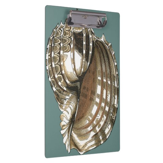 Seejuwel Klemmbrett (Rechts)