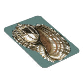 Seejuwel Magnet (Rechte Seite)