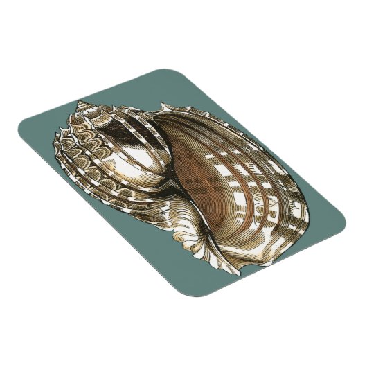 Seejuwel Magnet (Rechte Seite)