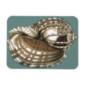 Seejuwel Magnet (Horizontal)