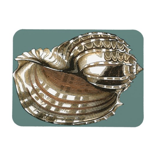 Seejuwel Magnet (Horizontal)